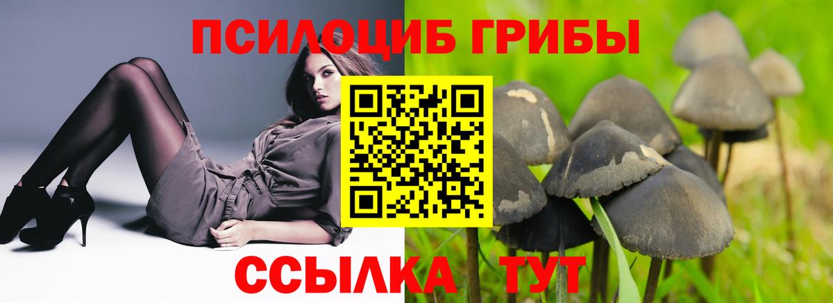 Галлюциногенные грибы прущие грибы  Вход с VPN  Южно-Сахалинск  Псилоцибиновые грибы мицелий 